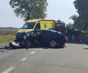 Tragiczny wypadek pod Płockiem. Zginął 22-latek i 16-letnia pasażerka. Szokujące, co ustaliła prokuratura