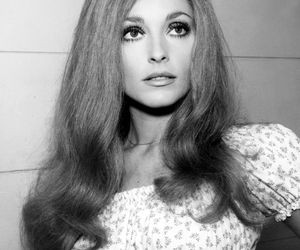 Ostatni dzień Sharon Tate. Rocznica zbrodni, która wstrząsnęła Hollywood