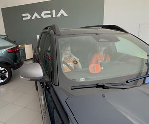 Eska Summer City Olsztyn - wizyta u motoryzacyjnego partnera Dacia Alcar