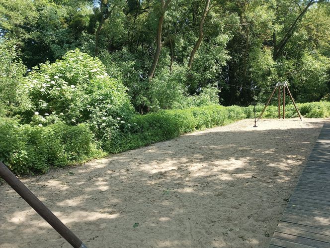 Parki podworskie w powiecie gdańskim