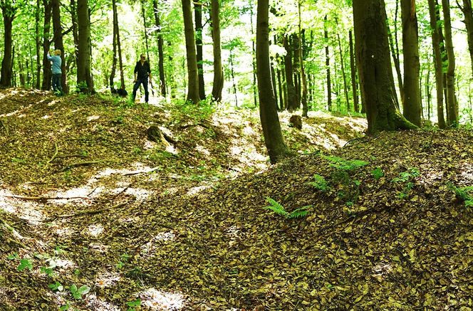 Najpiękniejsze miejsca w Beskidzie Sądeckim