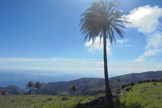 Gomera treking