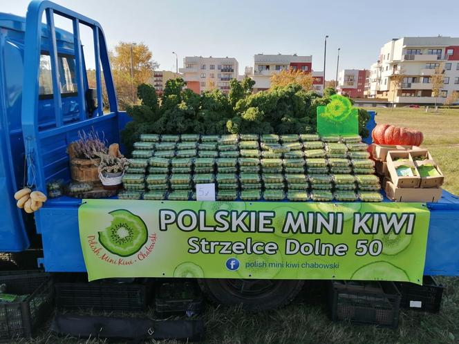 Wyjątkowe owoce rosną pod Bydgoszczą. Wiadomo już, że mini kiwi mają 20 składników odżywczych, a naukowcy nie skończyli liczyć