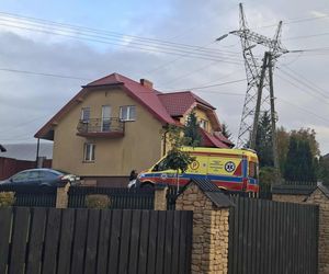 Tragiczny wypadek w Pawłowie. Byk zaatakował kobietę