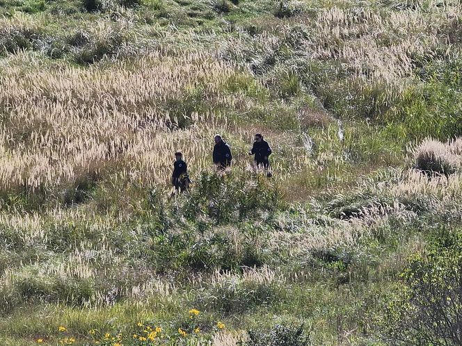 Nie żyje 37-latek z Leszna. Odnaleziony po tygodniach poszukiwań