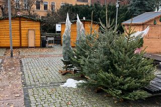 Szczeciński Jarmark Bożonarodzeniowy 2024 - przygotowania