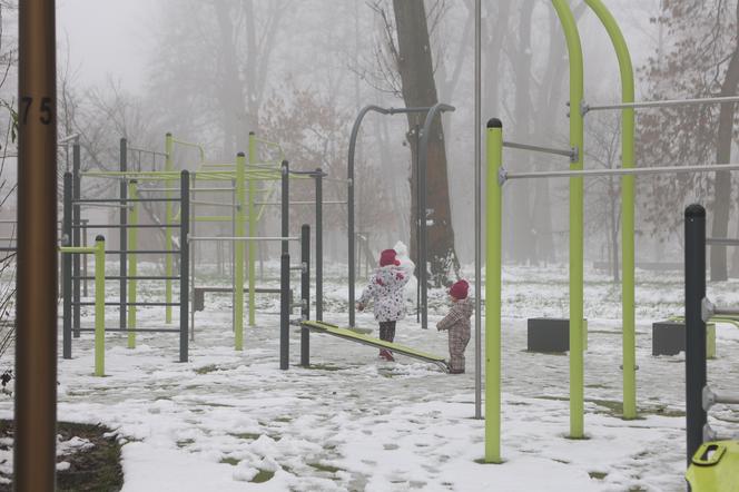 Park Ludowy w Lublinie skąpany we mgle