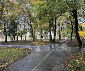 Park Kopernika w Gorzowie w jesiennej scenerii