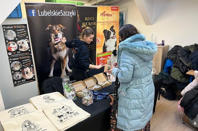 Dzień Kota w Schronisku dla Bezdomnych Zwierząt w Lublinie