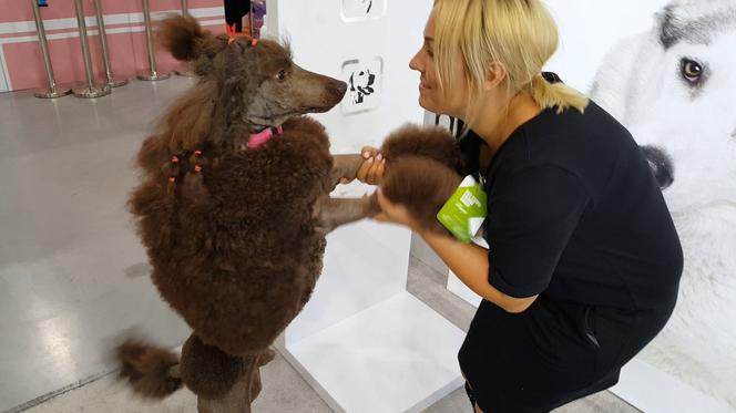 Targi PET EXPO 2019 w Bydgoszczy 