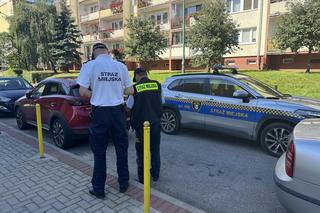 Kontrola parkowania na osiedlu w Stargardzie