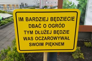 Zaczarowany ogród w Bydgoszczy