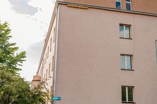 W Łodzi pojawią się budki dla jerzyków