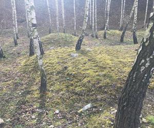 Wandalizm w centrum Trzebini. Śmieci, uszkodzone drzewka i zniszczona ścieżka pszczelarska