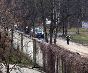 Ucieczka pantery śnieżnej z zoo w Chorzowie. Zdjęcia z akcji poszukiwawczej