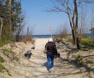 Mieszkańcy korzystają ze słonecznej pogody. Na plaży w Jelitkowie widać już pierwszych spacerowiczów!