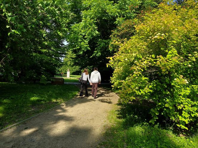 Park Miejski w Zamościu