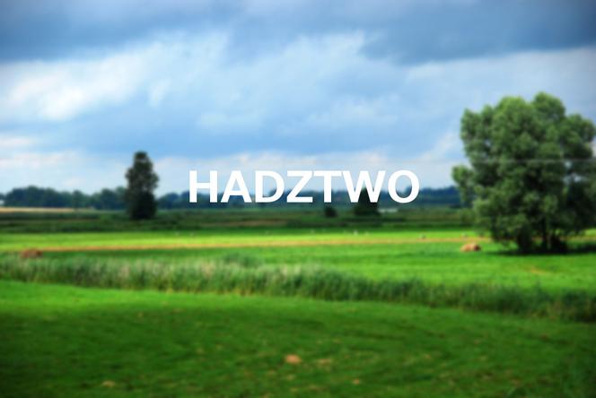 Hadztwo