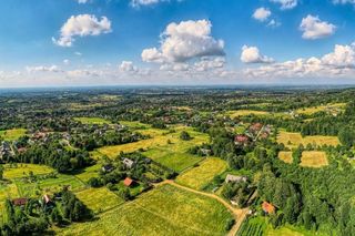 W tej wsi mieszka najwięcej osób. Jest najbardziej zaludniona w Polsce i leży w województwie śląskim. Zobacz, ile osób ją zamieszkuje