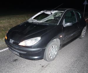 29-latek szedł drogą i został potrącony! Ten jeden element zaważył na tragedii
