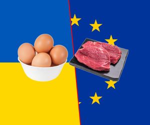 Tanie mięso z Ukrainy zaleje UE?
