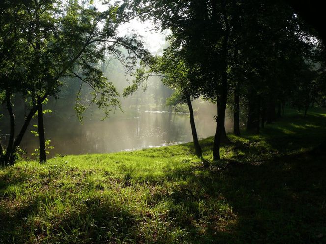 Krupski Młyn najbardziej zalesioną gminą w Polsce