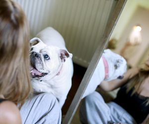 Marta Krupa w towarzystwie najlepszych przyjaciółek! Nazywają się... Maelie i Moddie