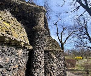 Park Helenów