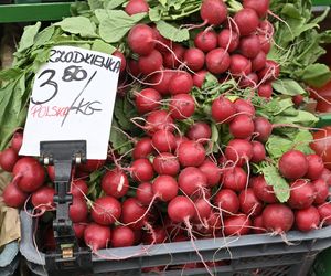  Ceny nowalijek na warszawskich bazarach szokują. Byliśmy i sprawdziliśmy ile trzeba zapłacić