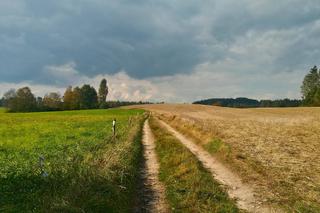 Złota jesień. Takich widoków potrzebujemy! [ZDJĘCIE DNIA]