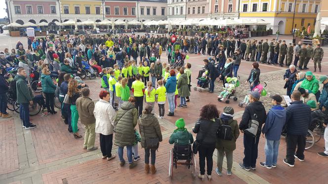 "I love green" na Rynku Wielkim w Zamościu