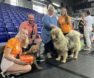 ​XXVII Międzynarodowa Wystawa Psów Rasowych - POMERANIA SHOW
