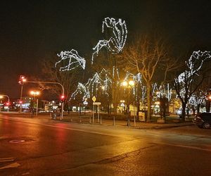 Rozświetlenie miejskiej choinki w Siedlcach już 6 grudnia!