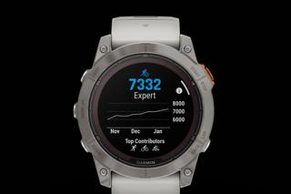 Garmin Fenix Pro