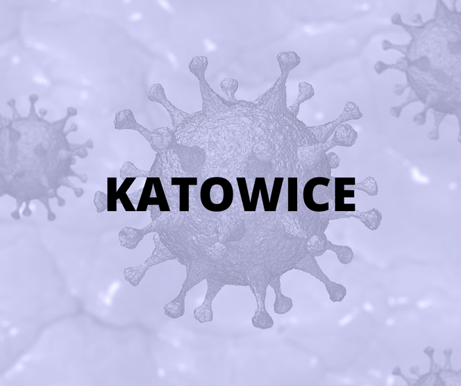 Katowice - 220 zakażeń