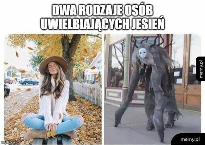 Memy o jesieniarach. Te obrazki są takie prawdziwe 