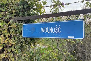 Zakończyła się przebudowa ulicy Wolność w centrum Radomia