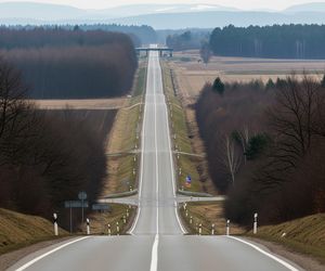 Zaginęła 39-latka z Tarnowskich Gór. Czy wędrowny tryb życia zaprowadził ją za granicę?