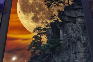 6 milionów za zdjęcie