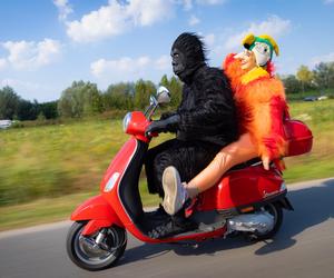 Nadchodzi Jungle Night w FACTORY Kraków. Rabaty sięgną nawet 50 procent!