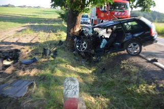 Tragiczny wypadek pod Olkuszem. Samochód wjechał w drzewo, nie żyje 25-latek [ZDJĘCIA]