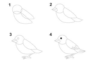 Jak narysować ptaszka? Przykładowy rysunek ptaka