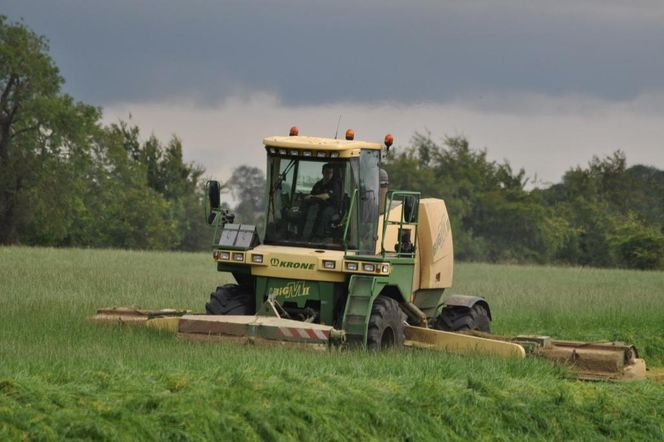 Kombajn zielonkowy marki Krone Big X 1100 z operatorem w kabinie, koszący trawę na zielonym polu w pochmurny dzień. Obok drzewa i krzewy. Więcej o pracach polowych przeczytasz na Super Biznes.