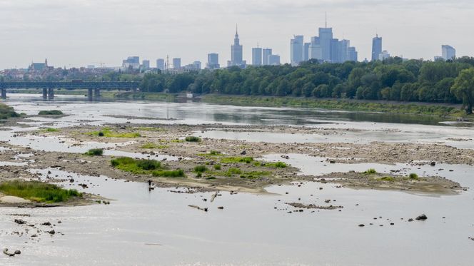 Wisła wysycha. Tak źle nie było nigdy w historii. Zdjęcia z lotu ptaka obrazują skalę suszy