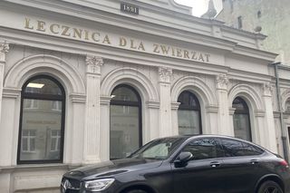 Kamienica Pod koniem