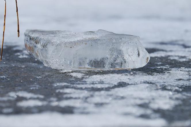 Poznań: Nastolatki weszły na lód, aby zrobić sobie zdjęcie! To była pułapka