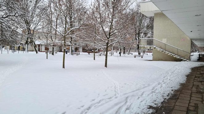 Śnieg zaskoczył mieszkańców Poznania?