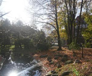 Park Wilsona jesienią