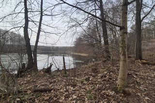 To jedno z najmniejszych jezior w Olsztynie. Prawie nikt o nim nie słyszał, a widoki zachwycają