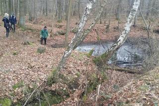 Udusił Dorotę i siedem lat przenosił jej ciało